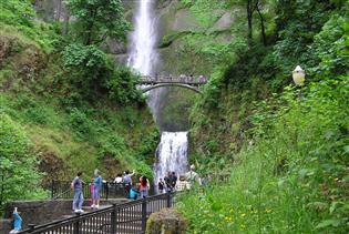 Waterfall Trolley Tour in Corbett, Oregon