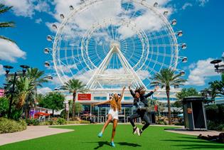 The Wheel at ICON Park in Orlando, Florida
