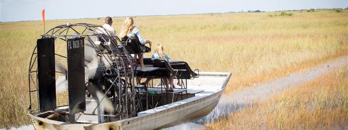 Authentic Everglades Wetlands Experience: Private Airboat Tour in Miami, Florida