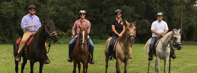 Guided Horseback Trail Ride in Clermont, Florida
