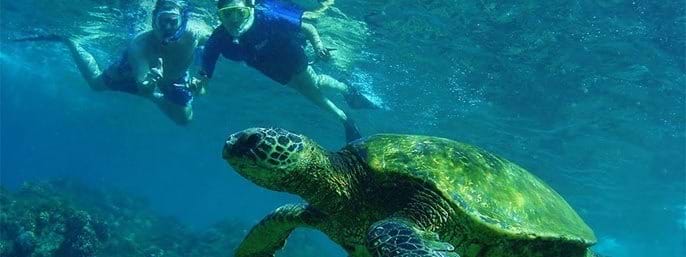 Kealakekua Bay Snorkel & Coastal Adventure in Kailua-Kona, Hawaii