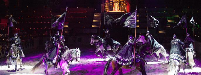 Medieval Times Dinner and Tournament Illinois in Schaumburg, Illinois
