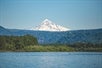 A majestic view of Mount Hood from the water with a lush forrest in front of it.