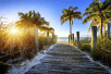 Beach access at AC Hotel by Marriott Miami Beach, FL.