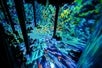 World of AI·Magination at Artechouse NYC in New York City