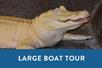 An albino alligator with its head up and a blue box saying "Large Boat Tour" with Airboat Adventures in New Orleans, Louisiana, USA.