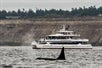 Best time to see whales in Washington