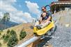 Rail Runner Single-Rail Mountain Coaster at Anakeesta in Gatlinburg, Tennessee