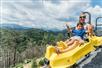 Rail Runner Single-Rail Mountain Coaster at Anakeesta in Gatlinburg, Tennessee