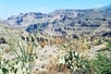 Apache Trail Day Adventure from Scottsdale or Phoenix