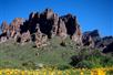 Apache Trail Tour in Tempe, AZ