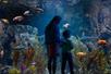 A parent and child looking into a large tank full of fish and plants at the Aquarium of the Pacific in Long Beach, California.