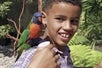 A photo of a young boy feeding a colorful Lorikeet on his shoulders at the Aquarium of the Pacific in Long Beach, California.