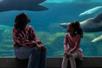 A parent and child sitting down and looking at sea lions swimming in the tank behind them at the Aquarium of the Pacific in Long Beach, California.