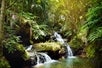 Fabulous Onomea Falls located in Hawaii Tropical Botanical Garden on the Big Island of Hawaii, USA