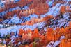 Bryce Canyon National Park Tour from Las Vegas, NV