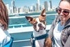 A close up of one of the dog guests on the Canine Cruise in Chicago Illinois