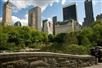 Central Park Walking Tours & Photography in New York, NY