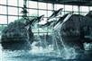 Shedd Aquarium - Chicago Multi-Attraction Explorer Pass®