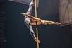 Aerial Pencil - Cirque Du Soleil - Drawn To Life at Disney Springs in Orlando, Florida
