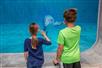 Children view a dolphin at Clearwater Marine Aquarium