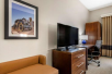 Seating area, flat-screen TV, work desk at Comfort Inn & Suites, FL.
