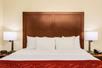 1 King bed at Comfort Suites DFW N/Grapevine, TX.