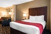 1 Queen bed at Comfort Suites Tampa Airport North, FL.
