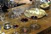 Pair, pair, baby - Cool Climate Wines of Niagara Tour with New World Wine Tours in Toronto, ON