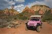 Tour Sedona's surrounding canyons and red rocks - Coyote Canyons Pink Jeep Tour in Sedona, AZ
