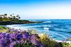 La Jolla Cove Beach at Discover San Diego's Beaches: Private Driving Tour