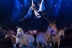 Two aerialists perform above stampeding horses at Dolly Parton's Stampede in Pigeon Forge, TN.
