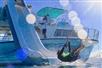 Launch down the new Dolphins and You 20-foot waterslide!