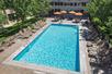 A bright blue outdoor swimming pool with lounge chairs and tables lining the sides along with small trees on a sunny day in Denver.