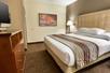 1 King Bed at Drury Plaza Hotel New Orleans.