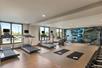 A fitness center with a row of cardio equipment in front of large windows letting bright light in and a weights area on the opposite side of the room.