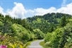 Explore The Blue Ridge Mountains: Private Day Trip from Asheville