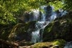 Explore The Blue Ridge Mountains: Private Day Trip from Asheville