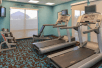 Fitness room with treadmills, and other cardio equipment, and weights.