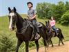Spend a beautiful day in the Smokies riding the trails at Five Oaks Riding Stables.