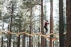 Someone climbing across suspended logs at Flagstaff Extreme Adventure Course