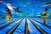 A large ocean themed bowling alley with sharks and coral hanging from the ceiling at Fun Mountain at Big Cedar Lodge.