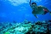 A guy snorkeling through a reef with Fury Water Adventure in Key West, Florida.