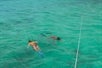 Two guests snorkeling with Fury Water Adventure in Key West, Florida.