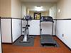 Workout area with stationary bike and treadmill.