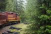 The Skunk Train rounding a corner and heading into the woods near Mendocino County, CA