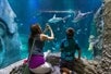 A mother and her son capturing a moment by taking a picture at the Atlantic habitat with sharks and fishes at SEA LIFE Aquarium Orlando.