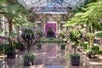 A space at the Longwood Gardens in Pennsylvania, filled with plants and trees, that showcases a variety of orchid species.