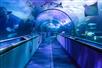 Aquarium of the Bay - Go San Francisco® Multi-Attraction Pass