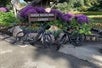 Golden Gate Park e-Bike Rentals